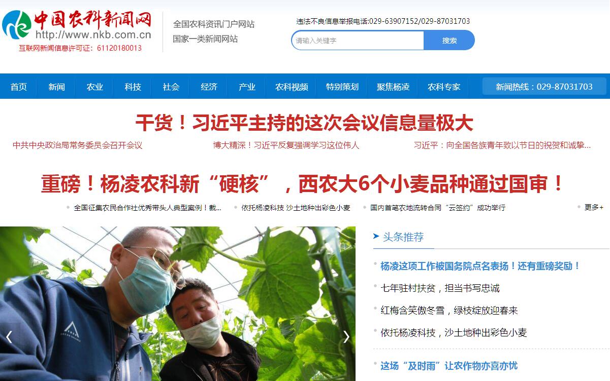 查看中国农科新闻网大图